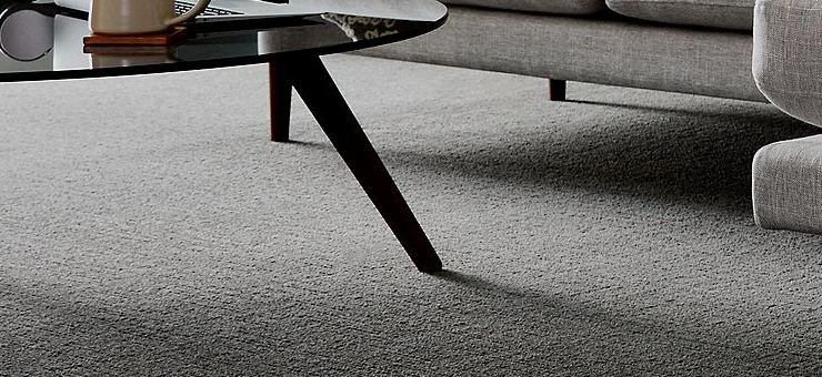 Vacuum Cleaner for Wool Loop EC Carpets
