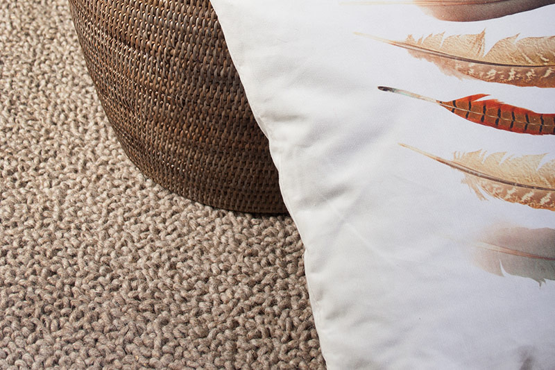 Best vacuum for Prestige Carpets 100 
